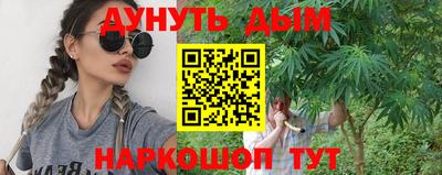 гашик Краснознаменск
