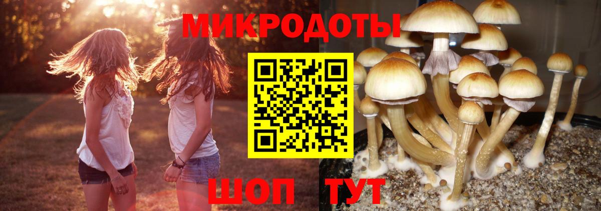 Псилоцибиновые грибы Psilocybe  Вход с VPN  Галлюциногенные грибы GOLDEN TEACHER  Еманжелинск 